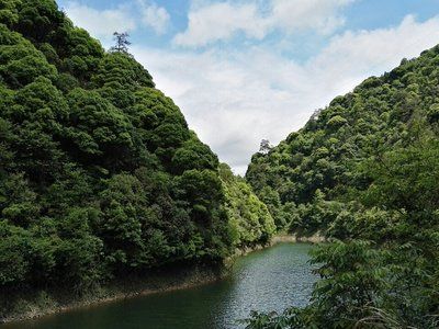 黟县洪星乡：“四抓四促”做好高龄津贴发放工作