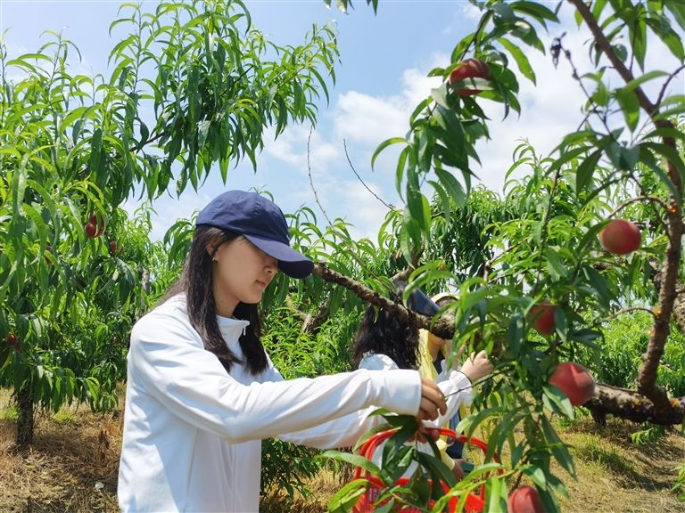 五月好时节瓜果正飘香