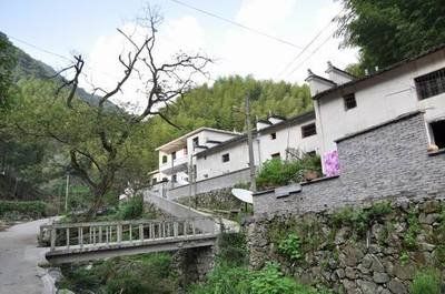 黄山区焦村镇：“三注重”让党史学习教育“实”起来