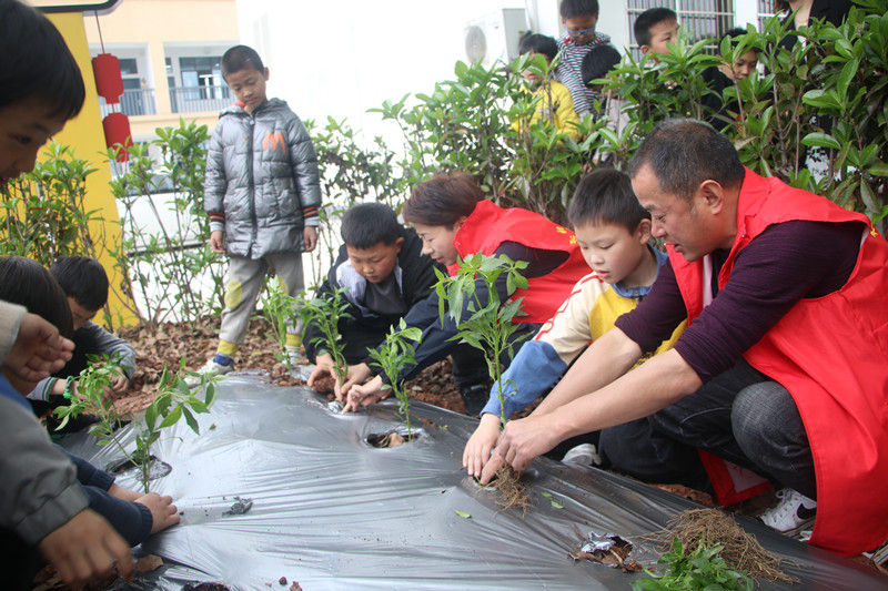 屯溪区奕棋镇中心小学：“五”动身心 劳动“一”夏