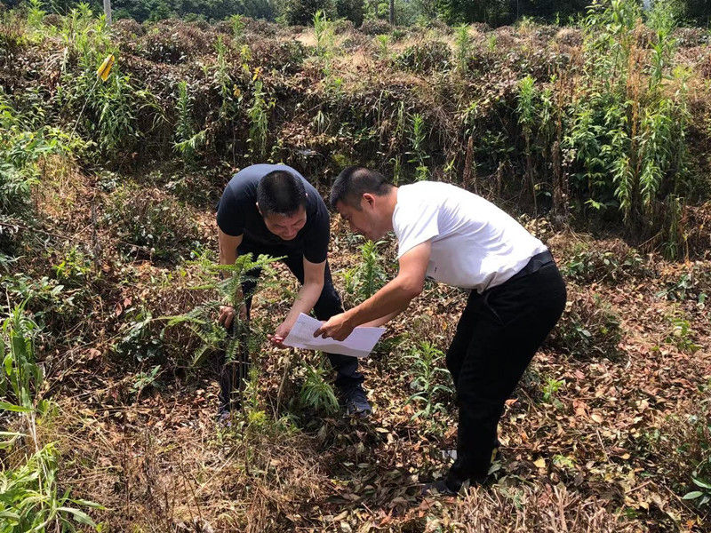 黟县洪星乡：四举措壮大村级集体经济
