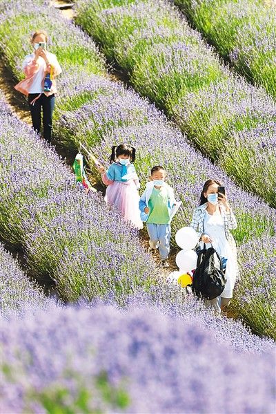端午节假期国内出游8913.6万人次 全国预计发送旅客1.24亿人次