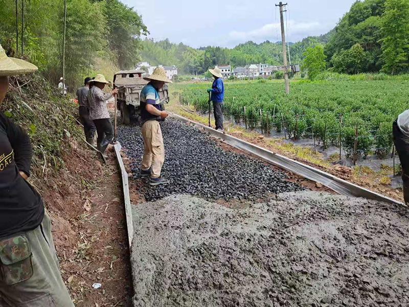 黟县渔亭镇：“一事一议”助美丽乡村蝶变