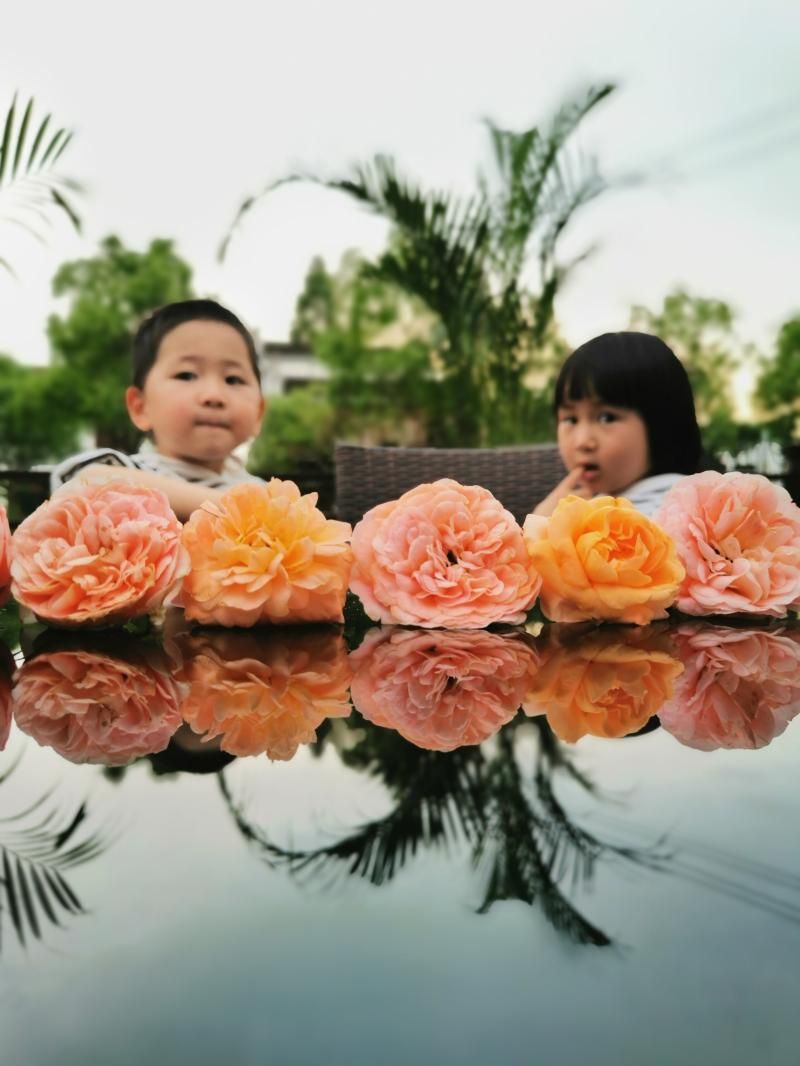 奕棋镇：初夏时节 相遇一份“小确幸”