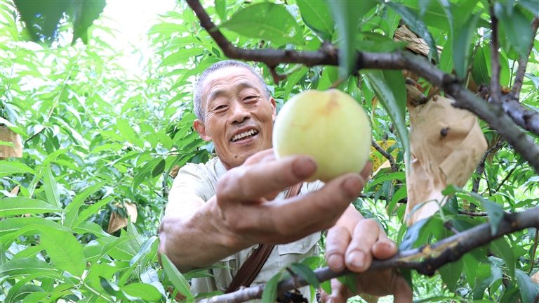 石河蜜桃香蜜蜜