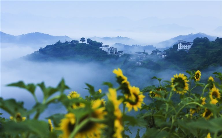 筑梦乡村绘新景 ——我市持续巩固拓展脱贫攻坚成果全面推进乡村振兴综述