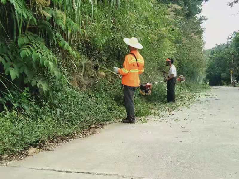 祁门县新安镇：志愿服务除杂草 乡村道路焕新颜