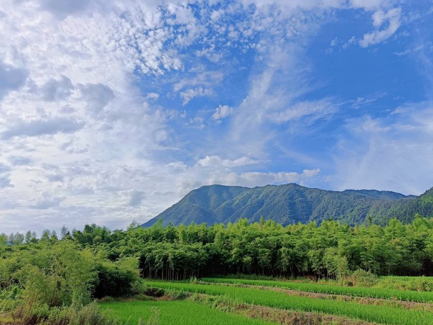 新华乡：盛夏光阴正当时