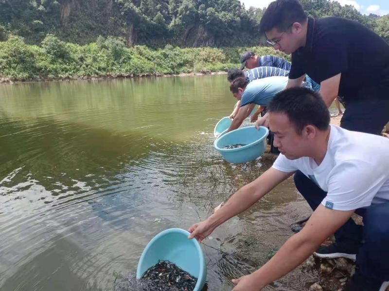 月潭湖镇：增殖放流80万尾 提升水生态环境