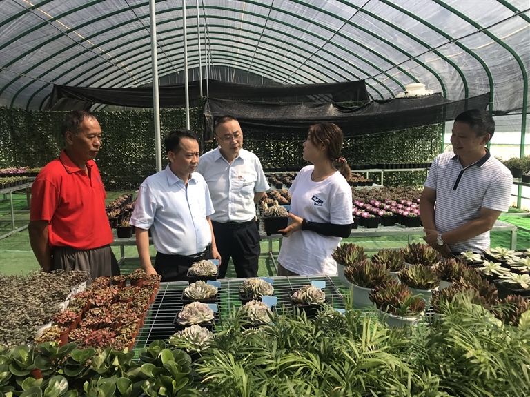 金融助力乡村振兴