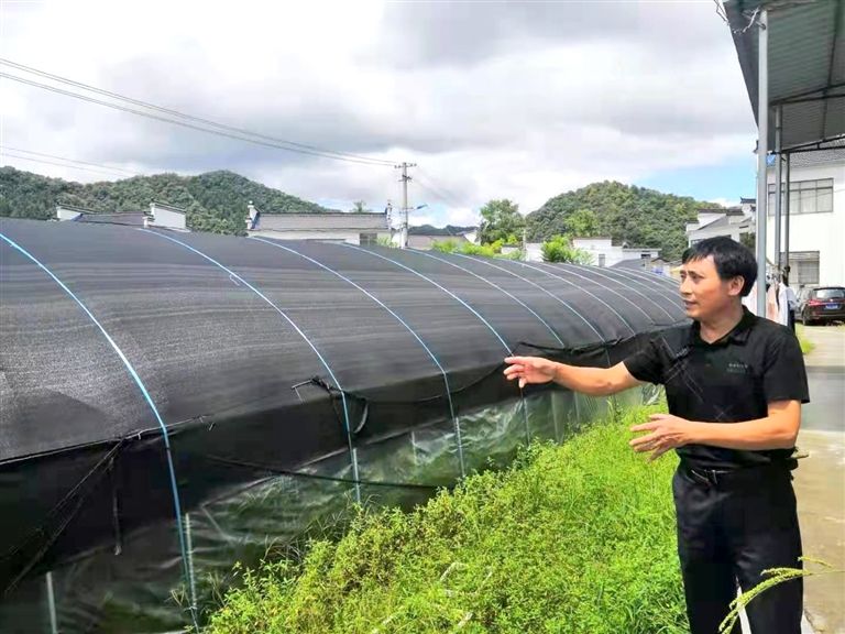 宏潭乡：让“四千工程”力助崛起赶超
