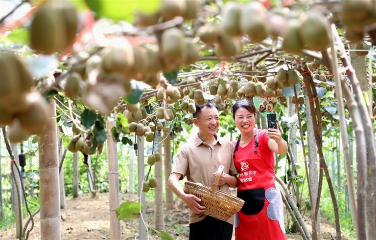 夫妻直播卖“金果”