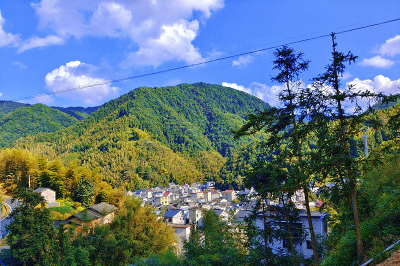 歙县森村乡：在山水中追求“绿富美”