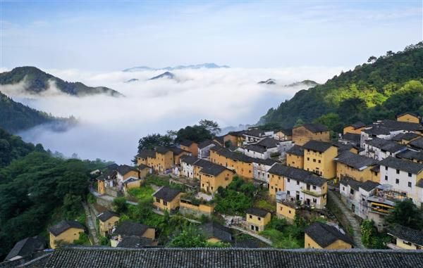 诗画阳产