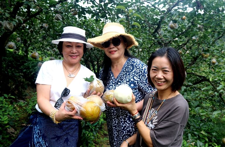 徽州桂花梨喜丰收