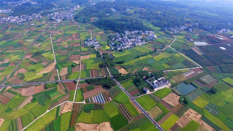田园诗意