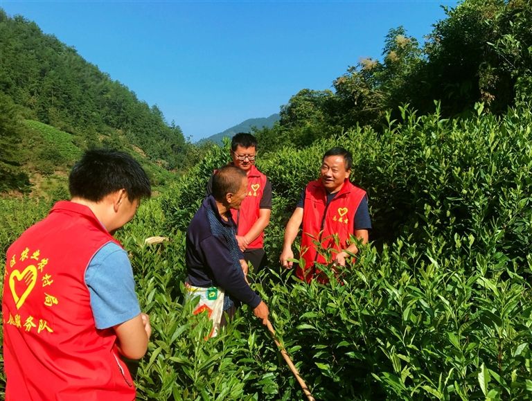 绿色防控“一抹红”