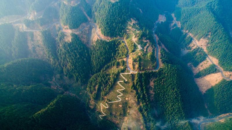 板桥乡：徽饶古道秋意浓