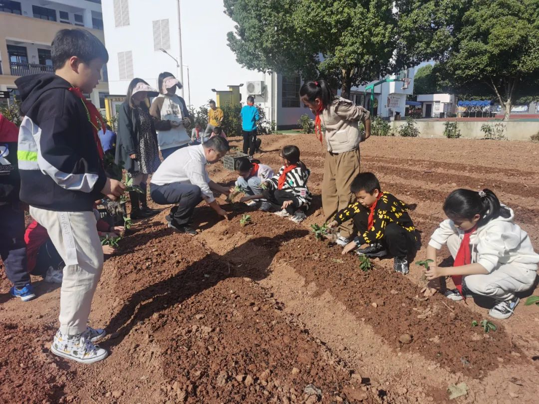 屯溪区：劳动教育进课堂 学生赋能乐成长
