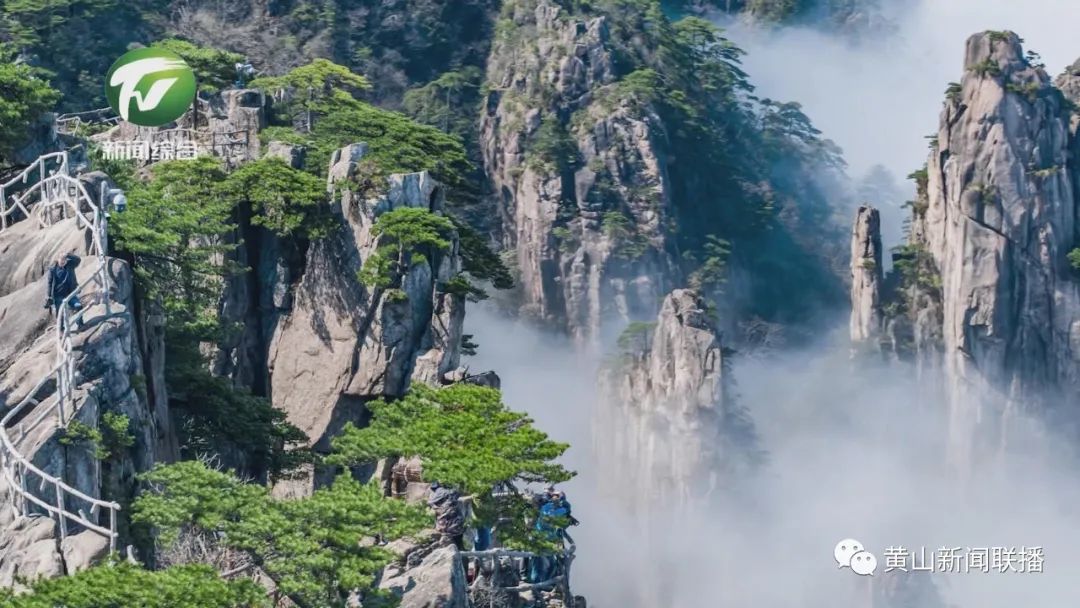 什么是“大黄山”？ 如何理解“大黄山”？