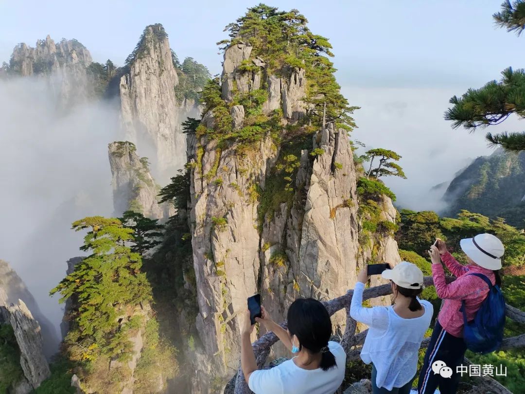 【喜迎二十大】“四大经济”融合发展！黄山大地奏响新乐章