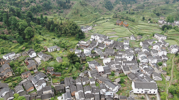 贯彻新发展理念！走出“大黄山”新气象