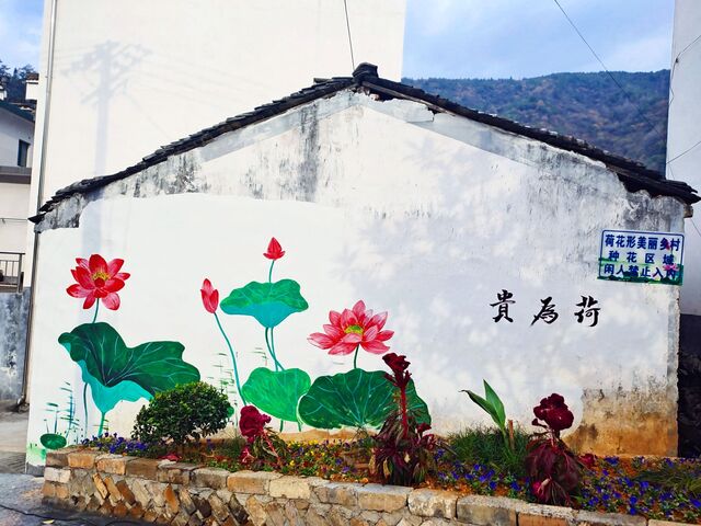  歙县三阳镇：美丽乡村 “荷你有约”