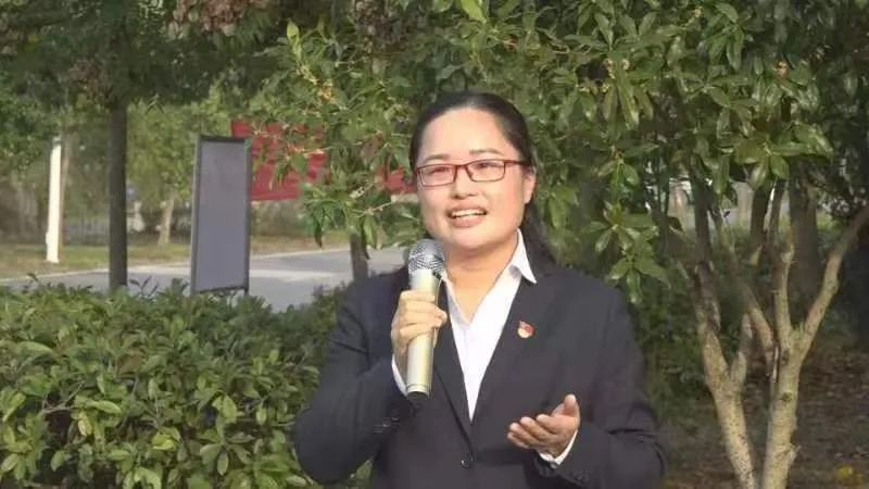 党代表回家后忙些啥丨龙守菊：让梦想在乡间开花