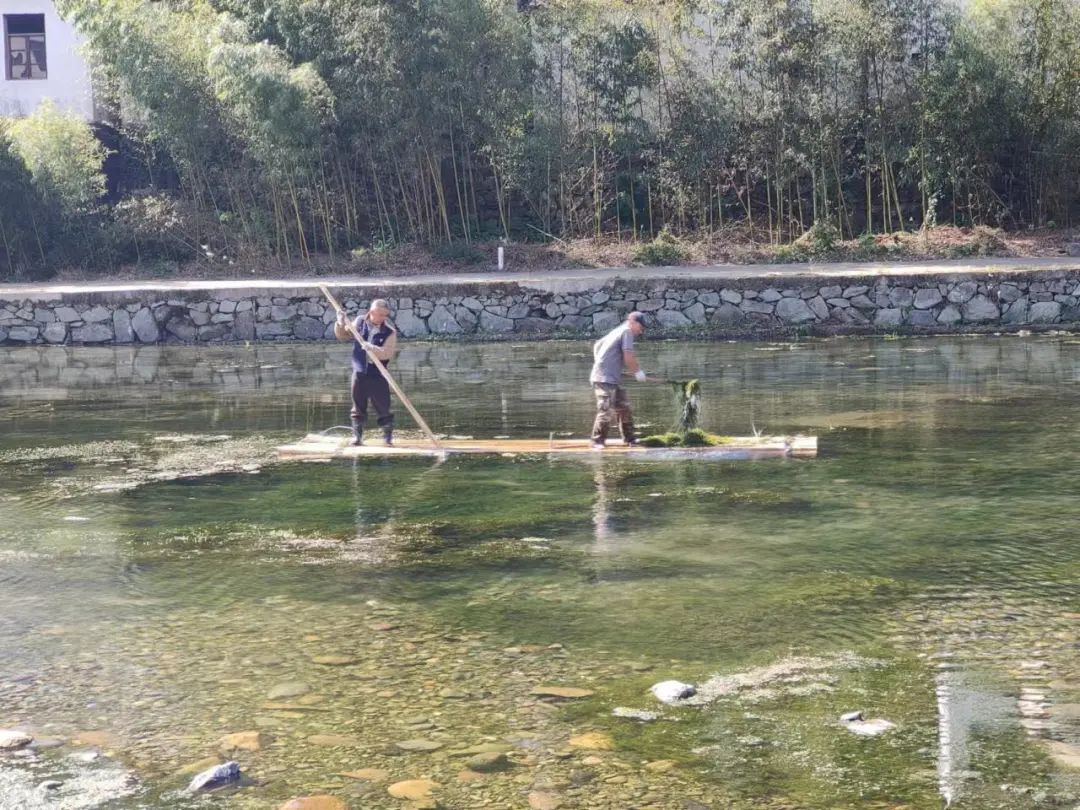 清理河道 清洁家园！他们在行动……