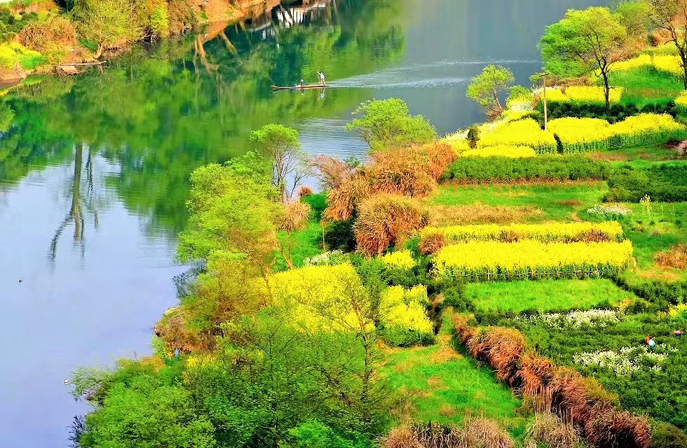 黟县黄姑村：以“绣花功夫”绘就“五美” 乡村新图景