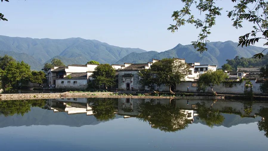 为什么又是黄山？
