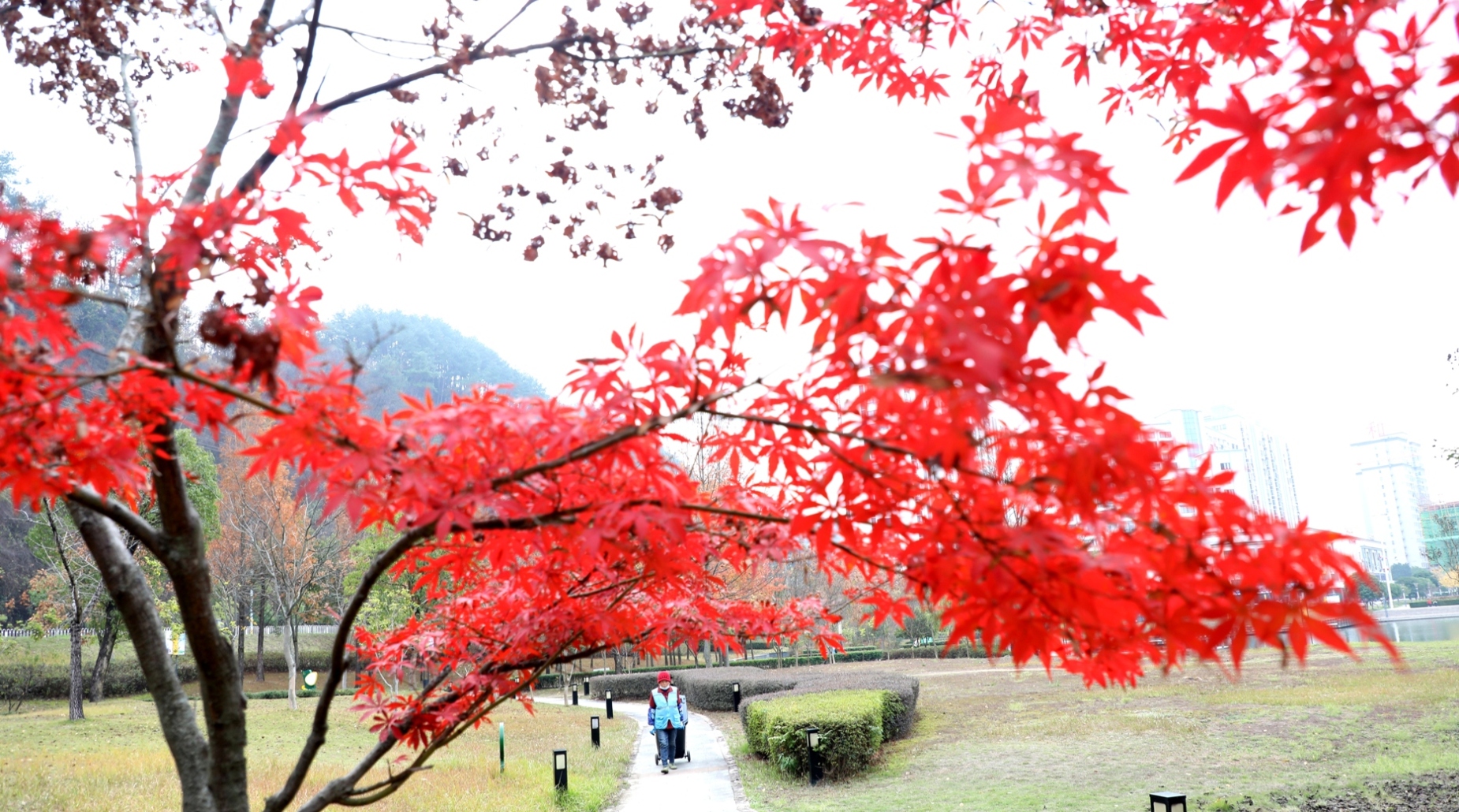 歙县：暖色冬景保整洁