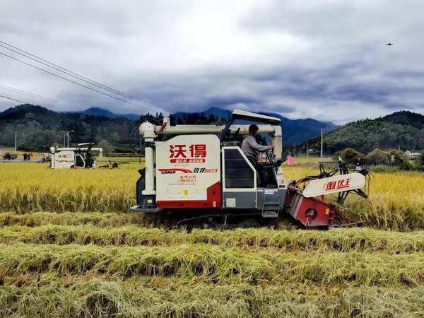祁门：发挥衔接资金撬动作用 打造乡村振兴样板