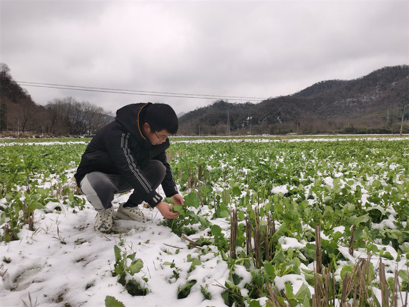 黟县美溪乡：科技大“拜年” 全力保春耕