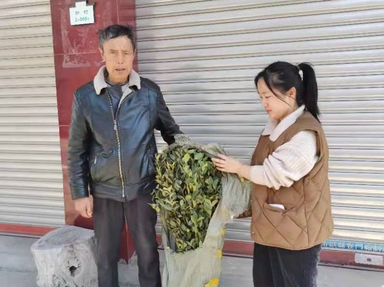 休宁县山斗乡：青青油茶苗 浓浓帮扶情