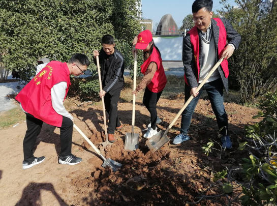休宁经开区：植树护绿拥抱春天
