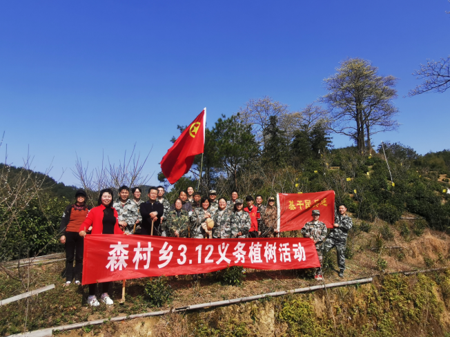 歙县森村乡：“添绿增黄”助力乡村振兴