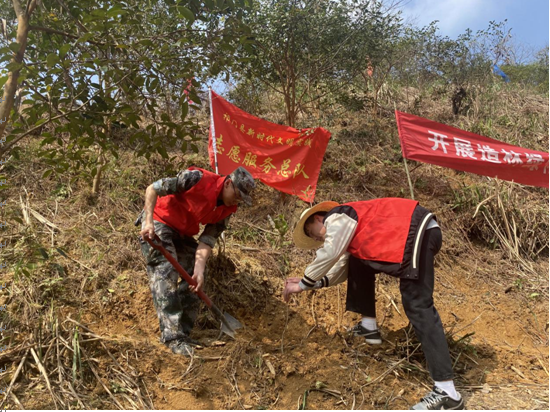 祁门县塔坊镇：国土绿起来 林业活起来 人民富起来