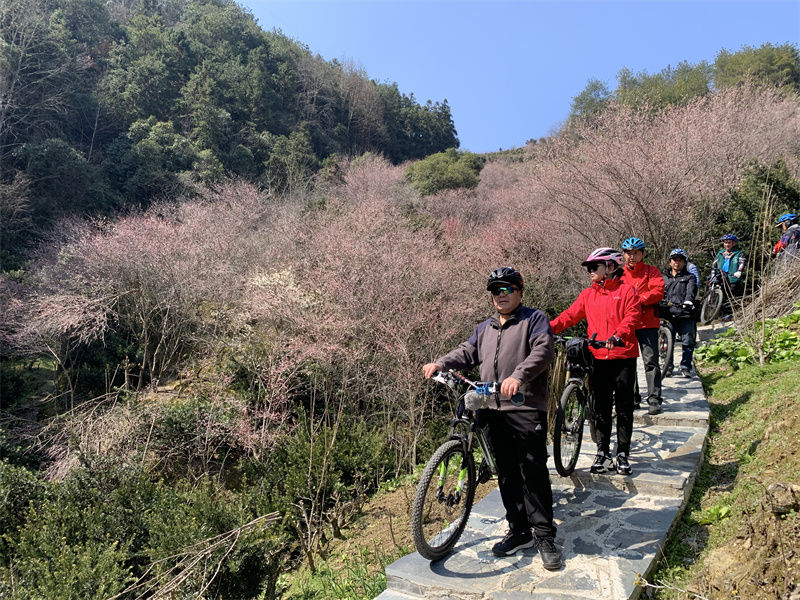 歙县：花海朝圣之旅