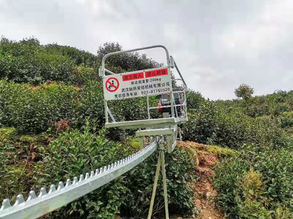 歙县：轻装上阵闯出歙茶突围之路