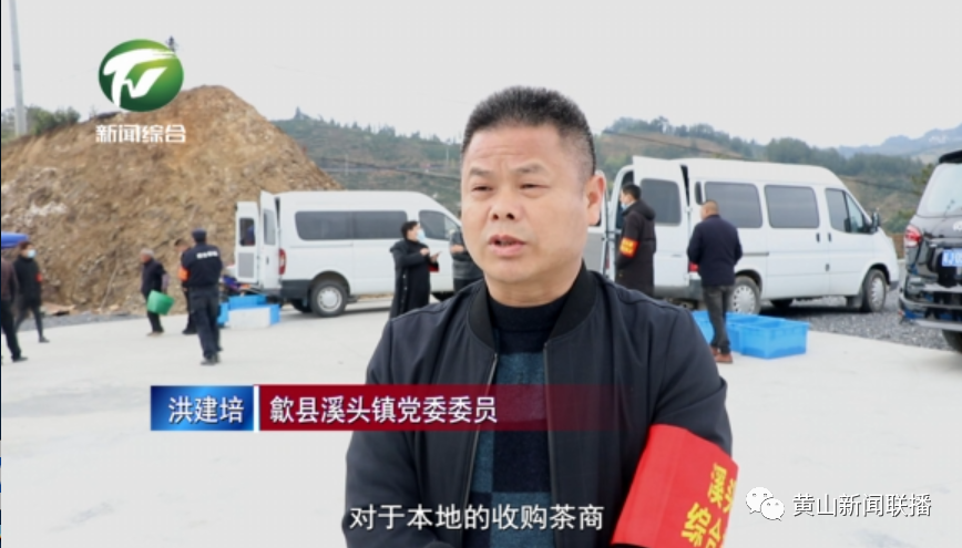 绿色防控 提升茶叶品质