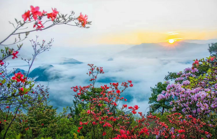  歙县：一路山花不负侬 革命精神代代传