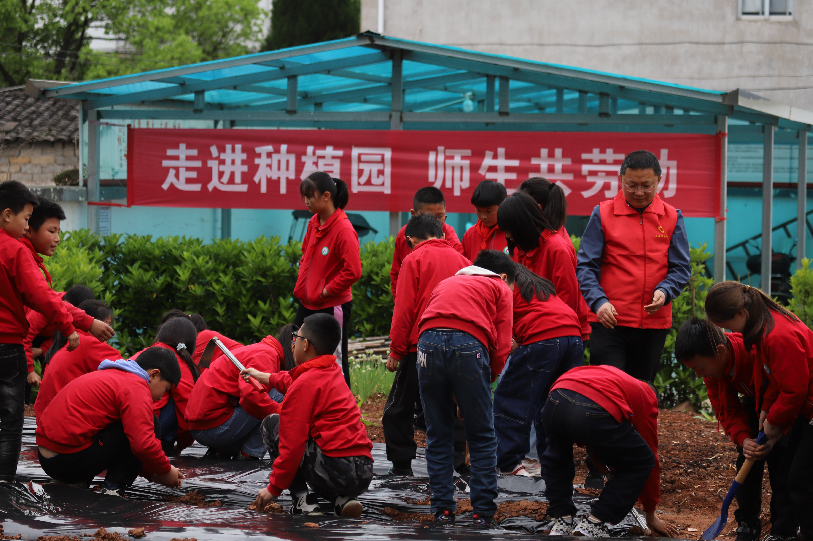 屯溪区奕棋镇中心小学：落实“双减”，“村小”劳动教育之花盛开
