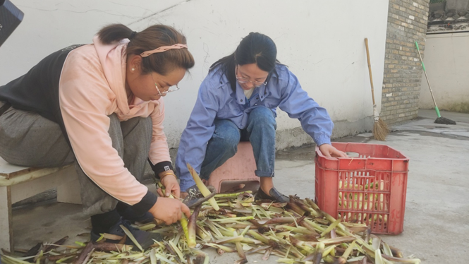 徽州区呈坎镇：竹林变身“绿色银行”