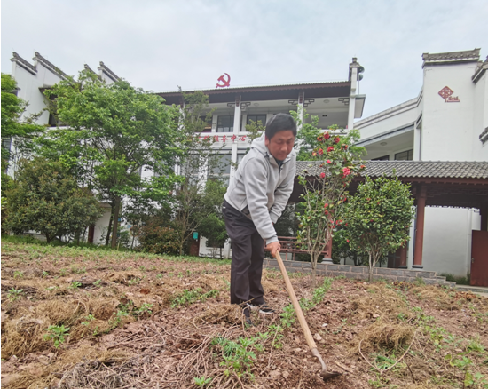 歙县北岸镇：“种地书记”的乡村振兴梦