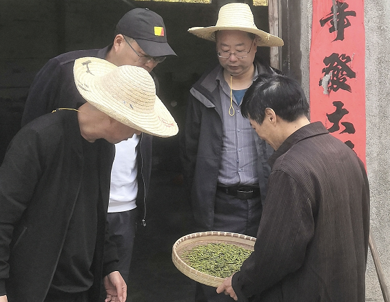 歙县昌溪乡：乡村振兴“智囊团”让老百姓鼓起了“钱袋子”