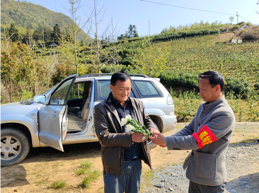 黄山区乌石镇开展“我们的节日·清明”主题活动
