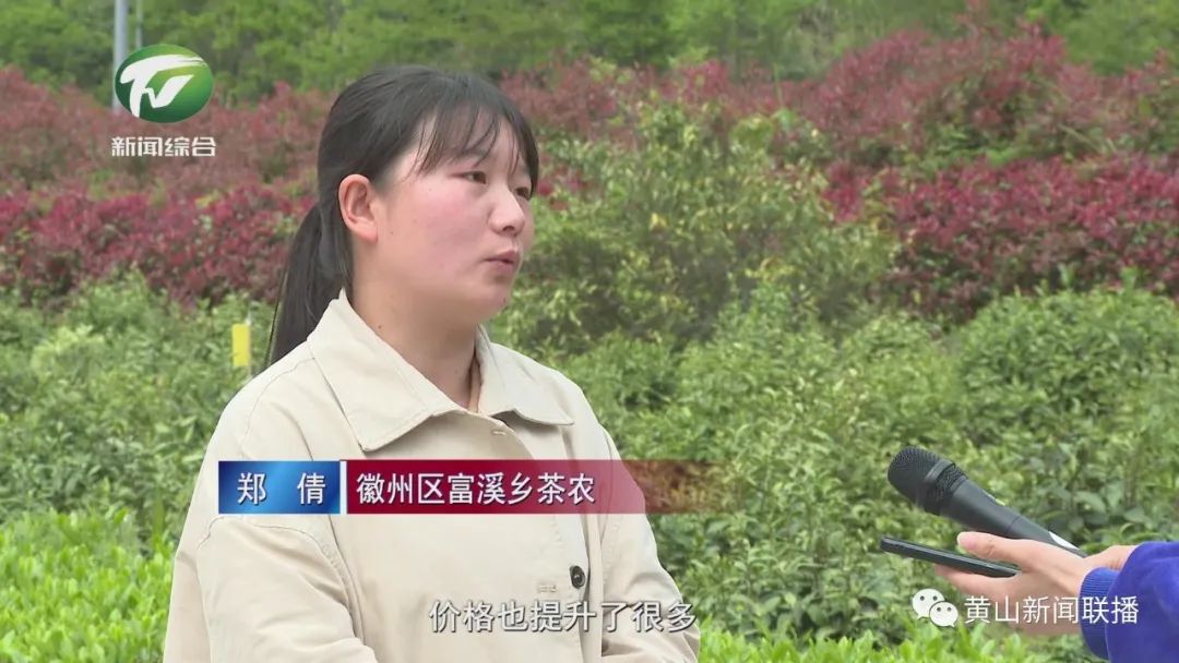 【奋进新征程 建功新时代】“绿色防控+产业化” 提升乡村茶产业发展驱动力