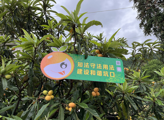 歙县坑口乡：小小宣传牌  法治记心间