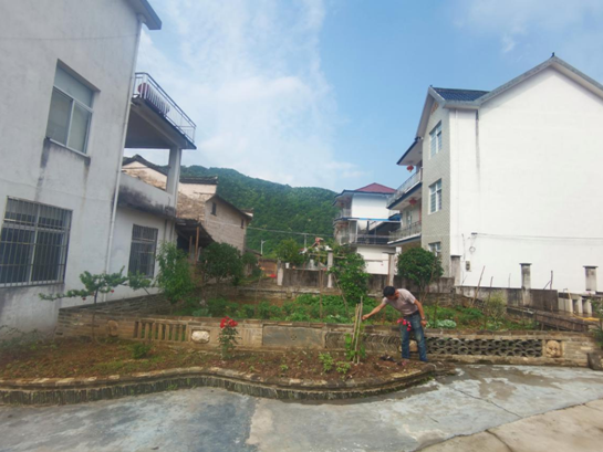 祁门高源村：“美丽菜园”扮靓美丽乡村
